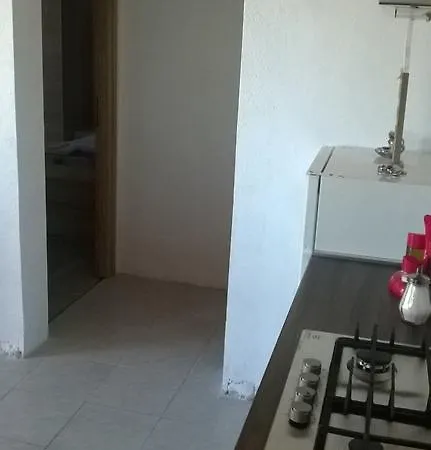 Holiday Babic Завала