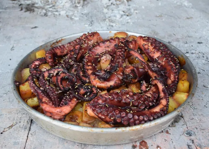 Babic * Zavala